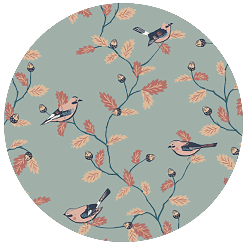 Jay Bird