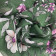 XBD121C03 - Green