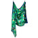 Pavo peacock