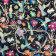 Bird of paradise Black