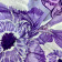 Ariel Purple