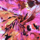 Drew Pink