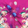 Leandra Pink